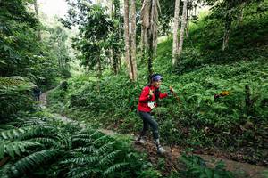 BIB: 
                            <button type="button" onclick="openModal(26410394)" class="btn btn-primary btn-sm float-right btn-popup" data-toggle="modal" data-target=".modal-high-quality">
                        <i class="fas fa-shopping-cart"></i> Add to Cart
                    </button>
                                            <button type="button" onclick="isThisMe(26410394, true)" class="btn btn-success btn-sm float-right btn-popup btn-isme hidden" data-toggle="tooltip" data-placement="bottom" title="นี่คือรูปของคุณใช่ไหม คลิกที่นี่เพื่อเอาเข้าอัลบั้ม">
                        <i class="fas fa-plus"></i> Add to album
                    </button>
                    <button type="button" onclick="isThisMe(26410394, false)" class="btn btn-warning btn-sm float-right btn-popup btn-isnotme hidden">
                        <i class="fas fa-ban"></i> Remove from album
                    </button>